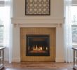 Ams Fireplace Inspirational Make Kozy Heat Model Carlton 46 Type Gas Fireplace
