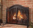 Antique Fireplace Screen Lovely Fireplace Protective Screen with Doors Durable Wrought Iron