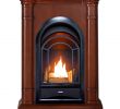 Antique Gas Fireplace Insert Beautiful Pro Fs100t 3w Ventless Fireplace System 10k Btu Duel Fuel thermostat Insert and Walnut Mantel