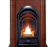 Antique Gas Fireplace Insert Beautiful Pro Fs100t 3w Ventless Fireplace System 10k Btu Duel Fuel thermostat Insert and Walnut Mantel