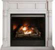 Antique Gas Fireplace Insert Elegant Fireplace Results Home & Outdoor