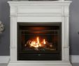 Antique Gas Fireplace Insert Luxury Fireplace Results Home & Outdoor