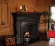 Arched Fireplace Insert Lovely Carron the London Plate Cast Iron Insert