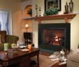 Archgard Fireplaces Best Of 51 Best Wood Burning Stove Fireplaces Images
