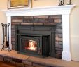 Are Fireplace Inserts Worth It Luxury I Like This Pellet Stove with A Mantel