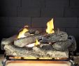 Artificial Fireplace Logs Beautiful Gas Fireplace Setup