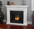 Ashley Fireplace Insert Beautiful Real Flame Gel Fuel Fireplace Charming Fireplace