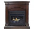 Ashley Wood Burning Fireplace Insert Elegant Pinterest