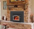 Ashley Wood Burning Fireplace Insert Fresh Wood Stoves Wood Stove Inserts and Pellet Grills Kuma Stoves