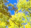 Aspen Electric Fireplace Unique Circle A Ranch Prices & Lodge Reviews Cuba Nm Tripadvisor