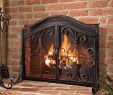 Baby Proof Fireplace Cover Best Of Fireplace Protective Screen with Doors Durable Wrought Iron