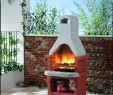 Bbq Fireplace New Palazzetti Corea Barbecue Outdoor Cooking Grill by Paini