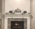 Beehive Fireplace New Diane Kelley Dksongboid On Pinterest