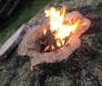 Bench In Front Of Fireplace New Tree Stump Transformed Into An Awesome Fire Pit Plete