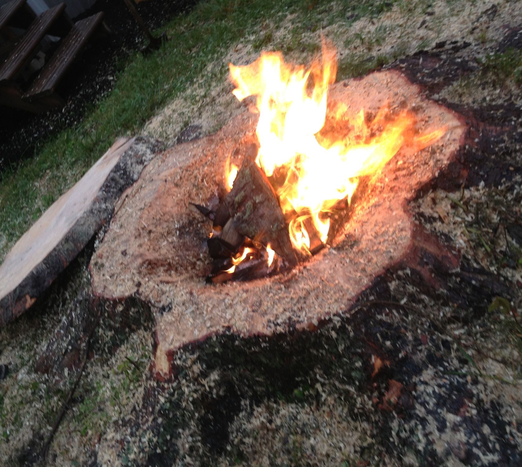 Bench In Front Of Fireplace New Tree Stump Transformed Into An Awesome Fire Pit Plete