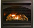 Best Zero Clearance Wood Burning Fireplace Lovely Gas Fireplace Insert Dual Fuel Technology with Remote Control 32 000 Btu Fbnsd32rt Pro Heating