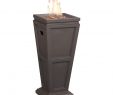 Big Lots Gas Fireplace Inspirational Endless Summer Glt1332b Lp Gas Fireplace Brown Outdoor Fire Column