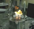 Bio Ethanol Tabletop Fireplace Beautiful Nu Flame Nf T1aca Accenda Ethanol Tabletop Glass Bio Fireplace