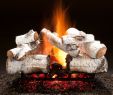Birch Fireplace Logs Best Of Rustic Timber See Through Vented Gas Log Set 36" In 2019