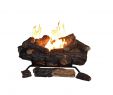 Birch Gas Fireplace Logs Beautiful Ventless Gas Fireplace Logs Gas Logs the Home Depot