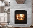 Birch Gas Fireplace Logs Elegant Ambiance Fireplaces and Grills