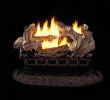 Birch Gas Fireplace Logs Fresh Pro 24 In Ventless Liquid Propane Gas Log Set with