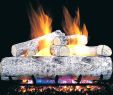 Birch Gas Fireplace Logs Inspirational Propane Fireplace Problems with Propane Fireplace