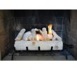 Birch Gas Fireplace Logs Inspirational Terra Flame 10 5 In Oak Fireplace Log Set