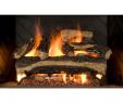 Birch Gas Fireplace Logs Lovely Electric Fireplace Logs Fireplace Logs the Home Depot