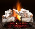 Birch Gas Fireplace Logs Luxury Rustic Timber See Through Vented Gas Log Set 36" In 2019