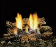 Birch Gas Fireplace Logs Unique Majestic 24 Inch Charred Timber Ventless Natural Gas Log Set Remote Pilot Kit
