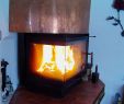 Birchwood Fireplace Luxury Pin AdÄugat De Mihaela Elena Fetecau Pe Seminee