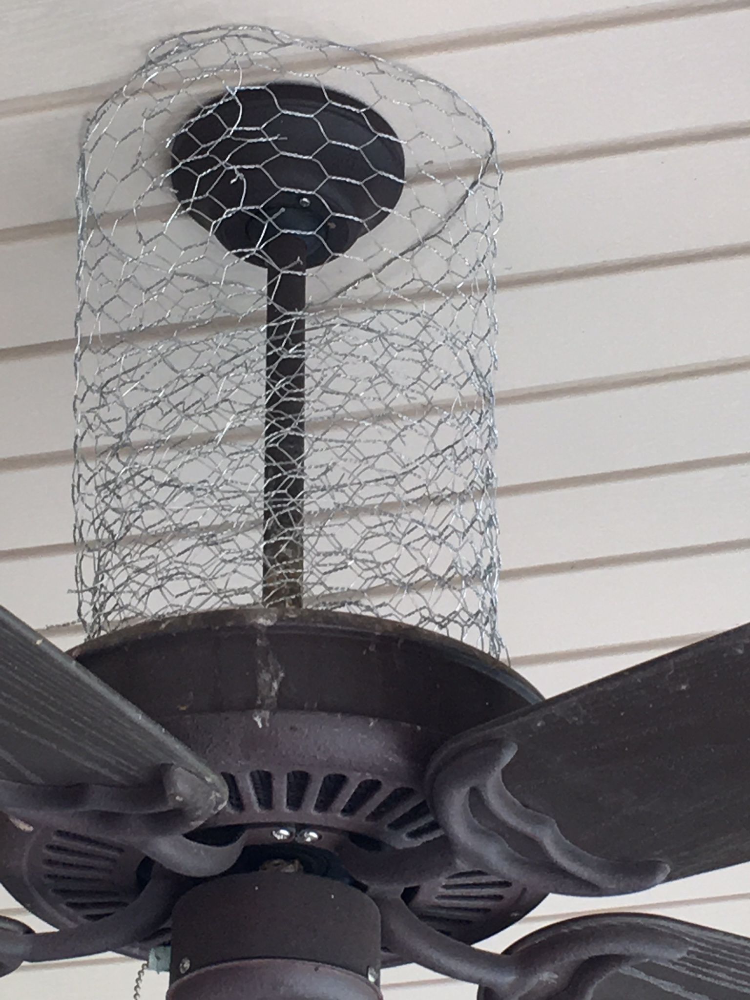 How I keep birds off of my porch Chicken wire is a 0dc327db8b5ffd7ff031f5aa c3