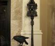 Bird In Fireplace Lovely Halloween Mantle Decorating Ideas Birdhouse