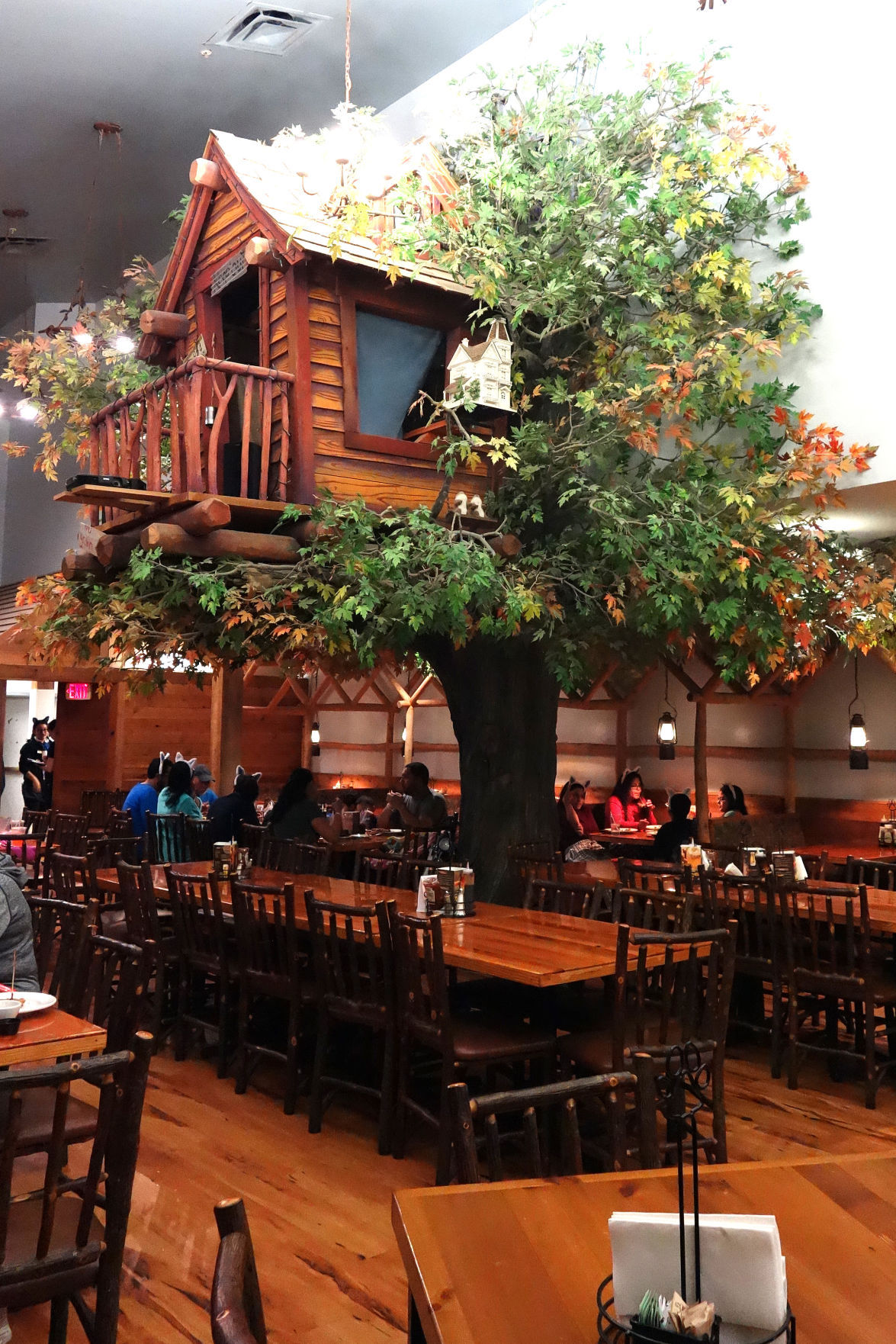 Bowling Green Fireplace Best Of A Holiday Visit to Great Wolf Lodge