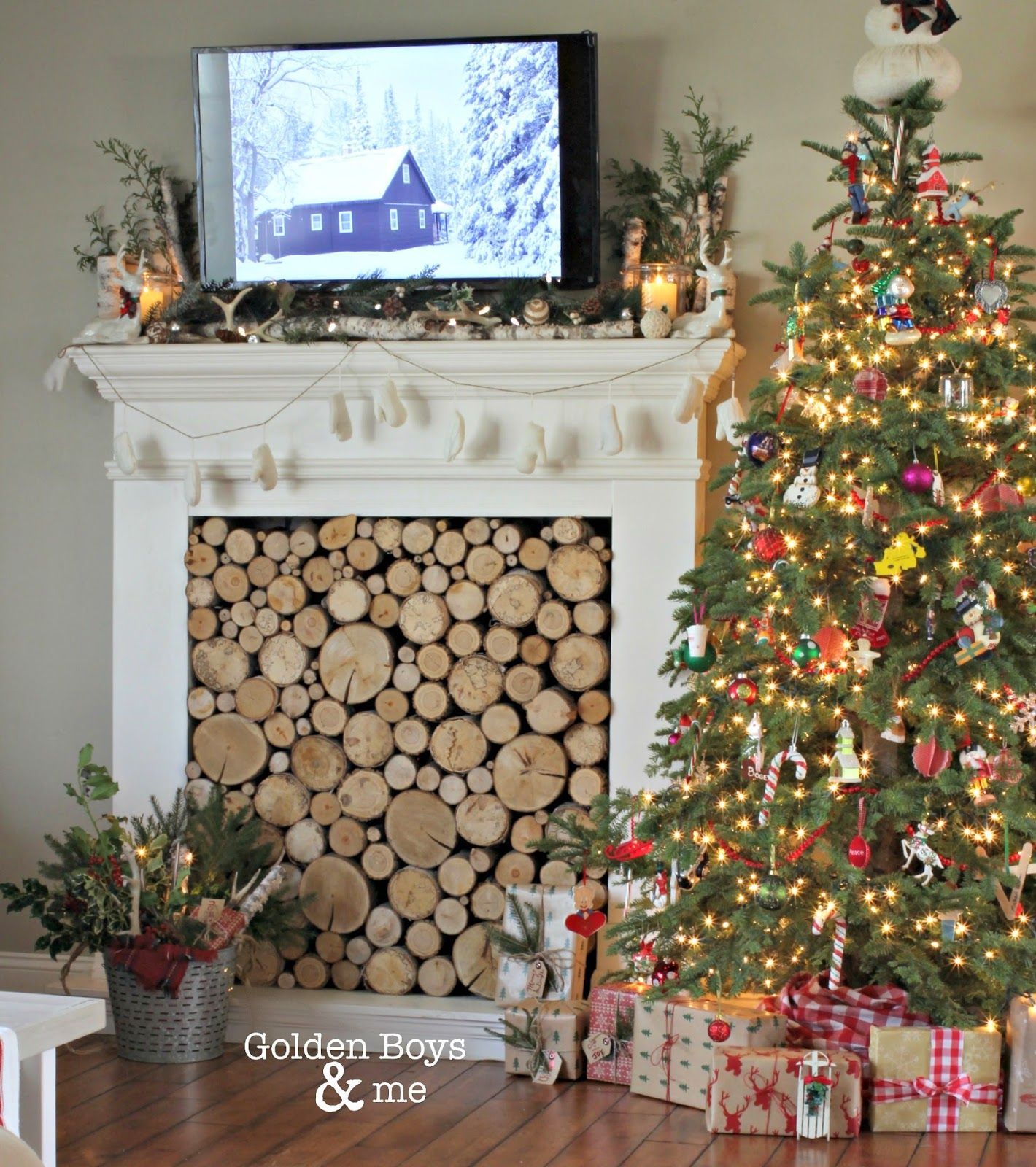 Staggering Cool Ideas Freestanding Fireplace Kitchens 594f915ad9bd767dbd2a