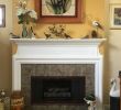 Brushed Nickel Fireplace Doors Inspirational Stiletto Custom Fireplace Doors for Masonry Fireplaces From