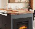 Built In Electric Fireplace Insert New Napoleon Cinemaâ¢ 24" Built In Electric Firebox Nefb24h 3a