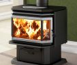 Burning Wood In Fireplace Unique Osburn 2200 Metallic Black Epa Wood Stove Ob In 2019