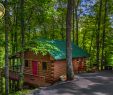 Cabin with Hot Tub and Fireplace Beautiful Rental Details for Squirrel Run 1 Bedroom Log Cabin Rental