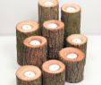 Candle Logs for Fireplace Inspirational Tree Branch Candle Holders I Rustic Wood Candle Holders