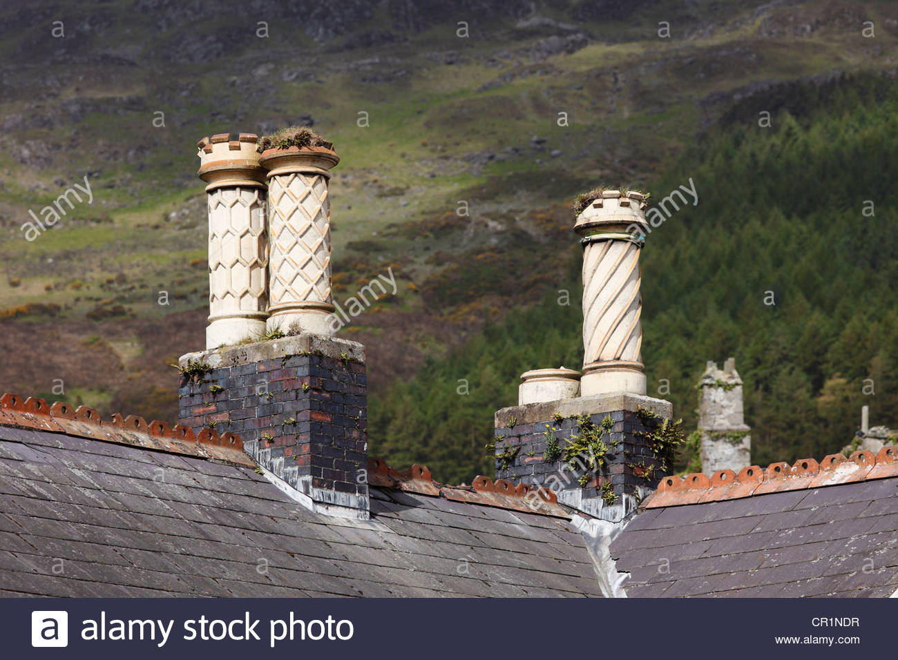 ornate fireplaces carlingford county louth republic of ireland europe CR1NDR