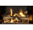 Carlington Electric Fireplace Best Of Electric Fireplace Logs Fireplace Logs the Home Depot