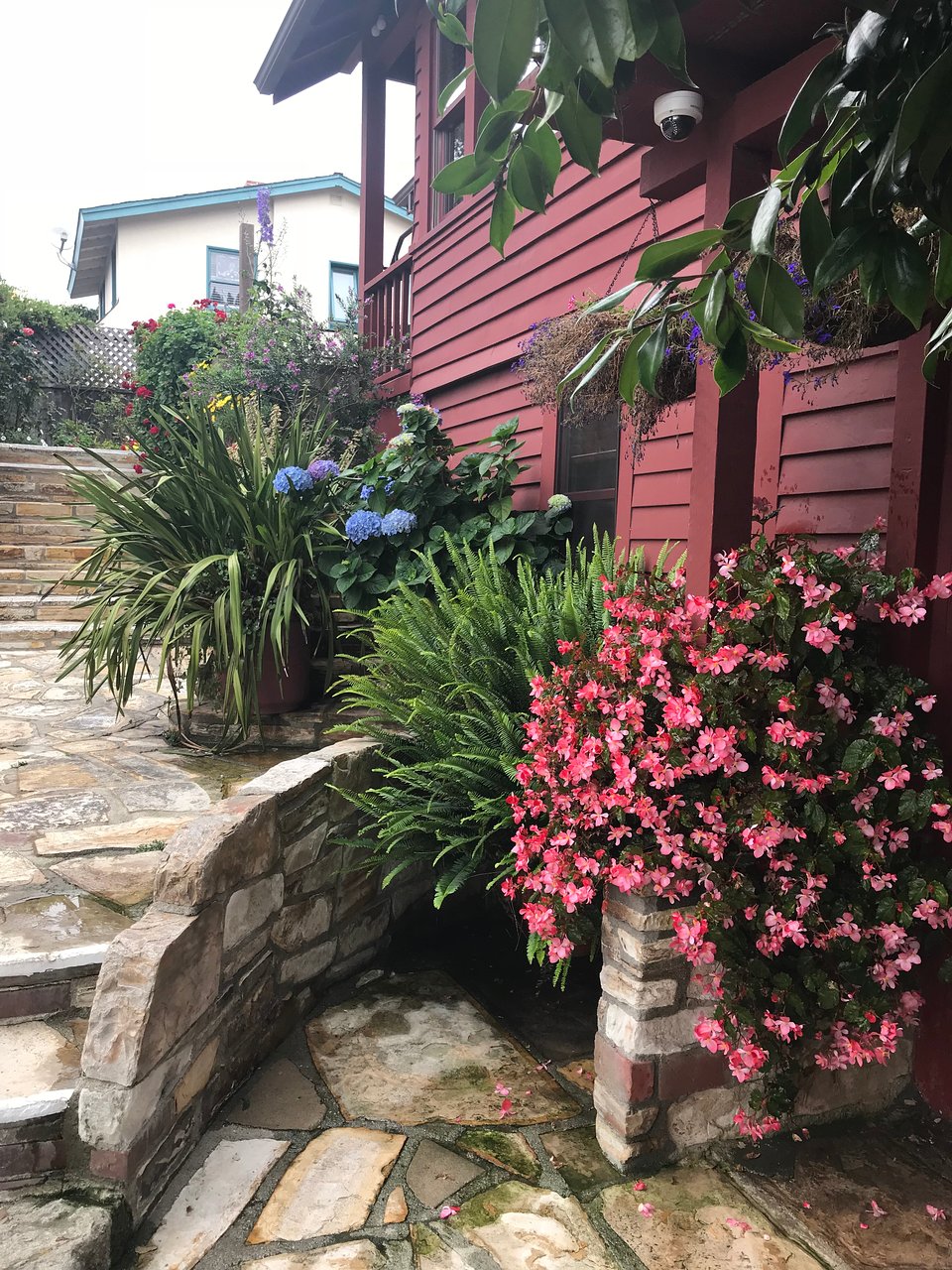 HOMESTEAD INN Updated 2019 Hotel Reviews & s Carmel homestead inn