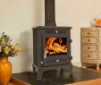 Cast Iron Wood Burning Fireplace Beautiful Foxhunter Ec B5 Multifuel Cast Iron Woodburner 6kw Black