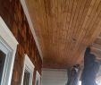 Central Arkansas Fireplace Fresh 6 Inch Carsiding tongue N Groove Porch Ceiling In 2019