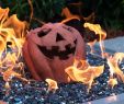 Ceramic Fireplace Balls Elegant Lakeview Fireproof Fire Pit Pumpkin Gas Log Halloween Decor