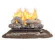Charmglow Gas Fireplace Best Of Gas Fireplace Inserts Fireplace Inserts the Home Depot