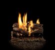 Charmglow Gas Fireplace Elegant Gas Fireplaces Fireplaces the Home Depot