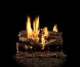 Charmglow Gas Fireplace Elegant Gas Fireplaces Fireplaces the Home Depot